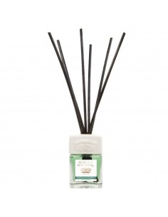 Acqua di Bolgheri diffusore ambiente muschio bianco 500 ml