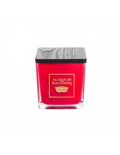 Acqua di Bolgheri Candela Profumata Bacche di Vinum 200g